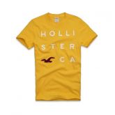 Camisa Feminina Hollister