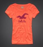 Camisa Feminina Hollister