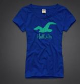 Camisa Feminina Hollister